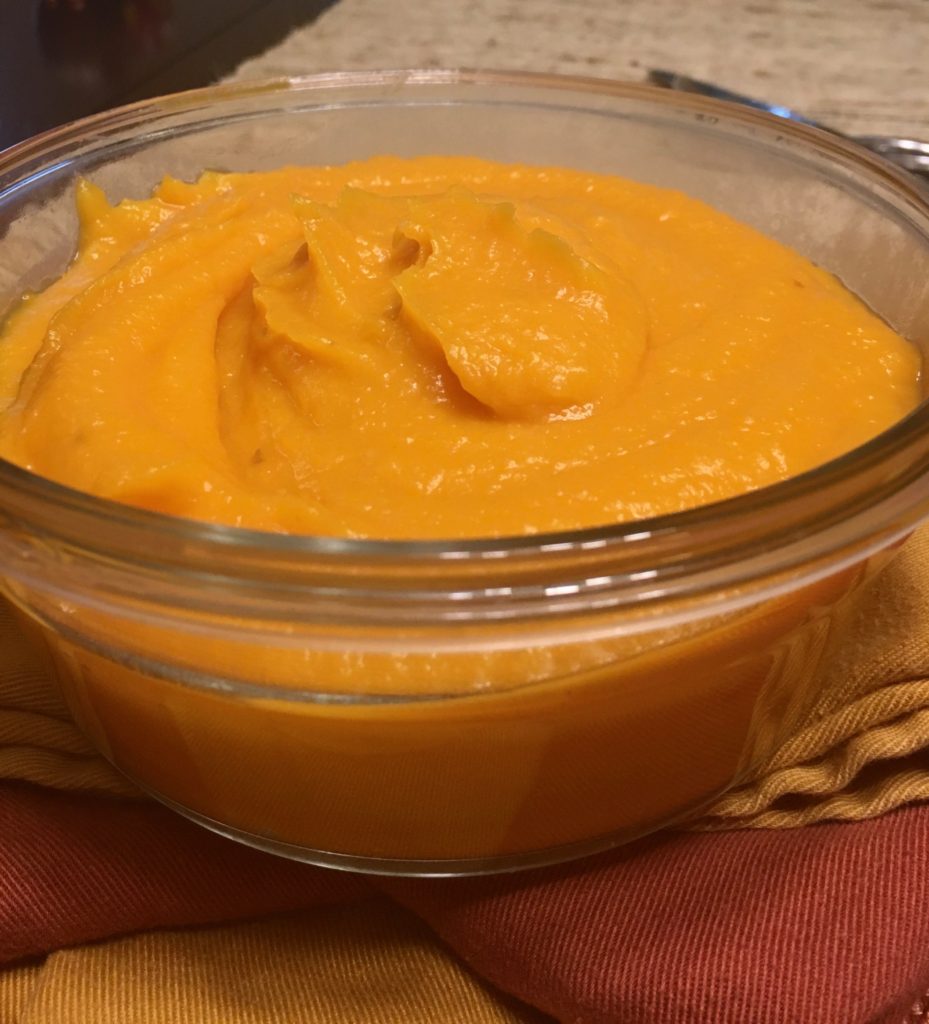 butternut-squash-puree-briscoe-bites