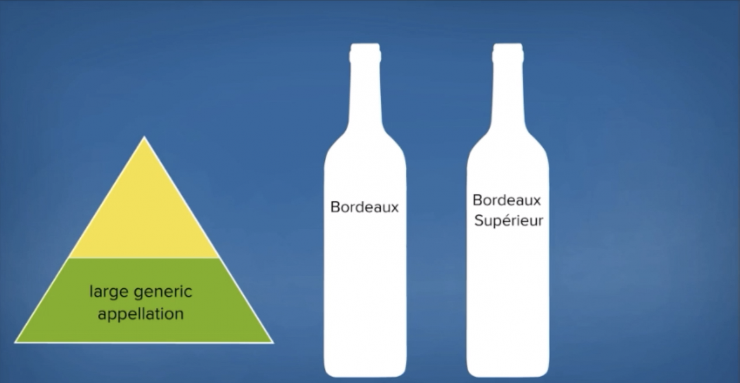 Wine Bottle Shape 101: Burgundy, Bordeaux, & More!