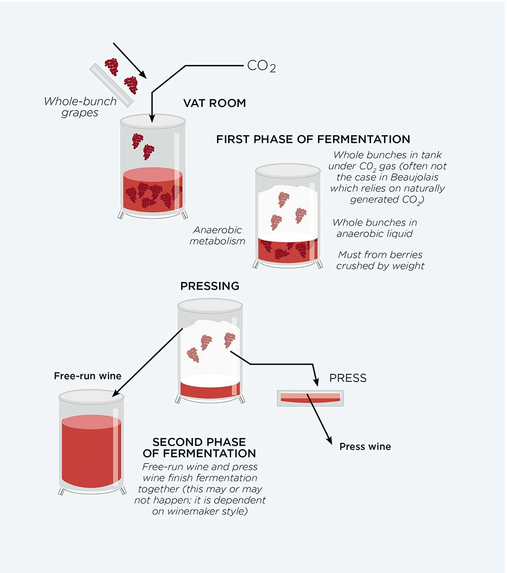 types of wine fermentation